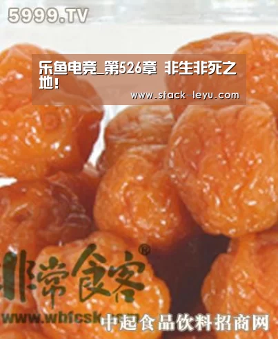 乐鱼电竞_第526章 非生非死之地!(图1) leyu直播