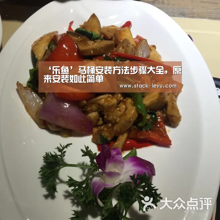 ‘乐鱼’马桶安装方法步骤大全,原来安装如此简单(图2) 乐鱼电竞